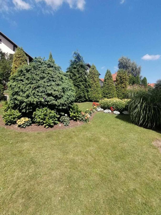 Bozovic Mv Apartments Zlatibor Exterior foto